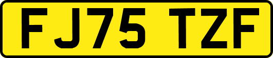 FJ75TZF