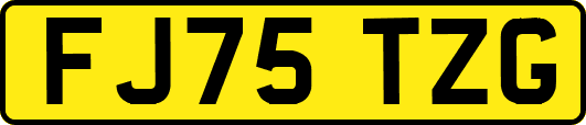 FJ75TZG