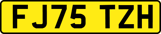 FJ75TZH
