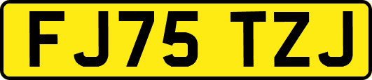 FJ75TZJ