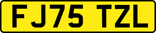 FJ75TZL