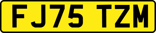 FJ75TZM
