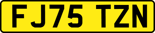 FJ75TZN