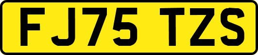 FJ75TZS