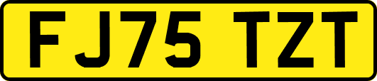FJ75TZT