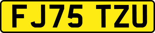 FJ75TZU