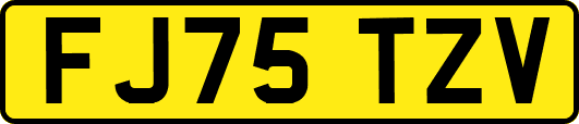 FJ75TZV