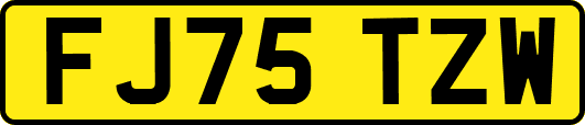 FJ75TZW