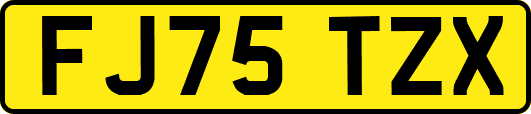 FJ75TZX