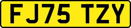 FJ75TZY