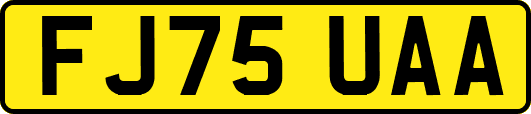 FJ75UAA