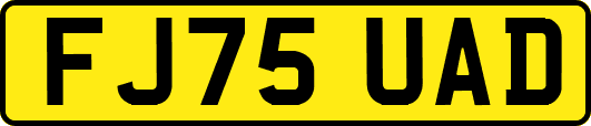 FJ75UAD