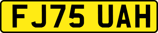FJ75UAH