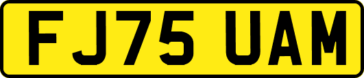 FJ75UAM