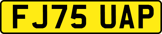 FJ75UAP