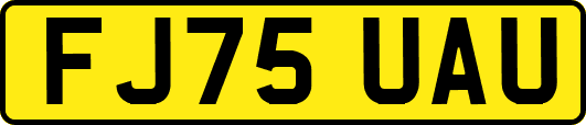 FJ75UAU