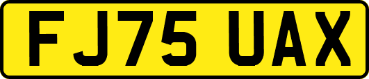 FJ75UAX