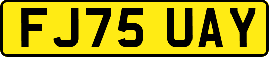 FJ75UAY