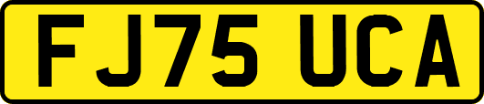 FJ75UCA