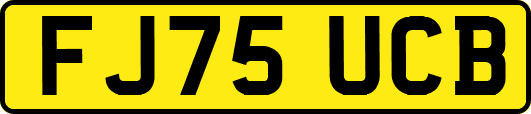 FJ75UCB