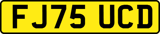 FJ75UCD