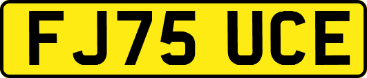 FJ75UCE