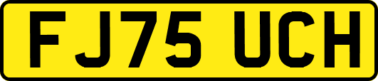 FJ75UCH