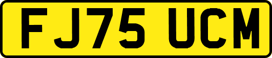 FJ75UCM