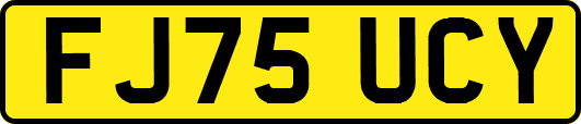 FJ75UCY