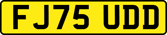 FJ75UDD