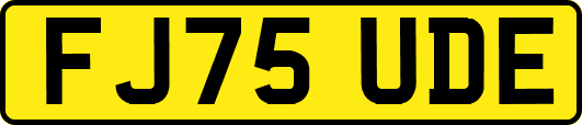 FJ75UDE