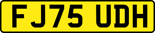 FJ75UDH