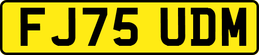 FJ75UDM