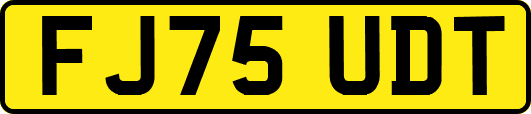 FJ75UDT