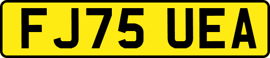 FJ75UEA