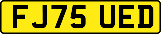 FJ75UED