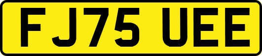 FJ75UEE