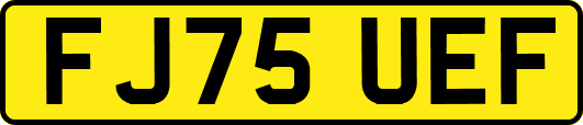 FJ75UEF