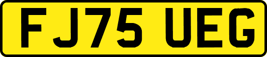 FJ75UEG
