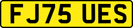 FJ75UES