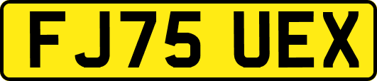 FJ75UEX