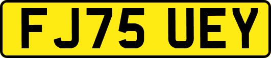 FJ75UEY
