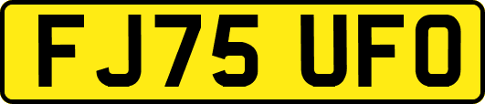 FJ75UFO
