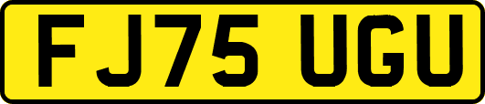 FJ75UGU