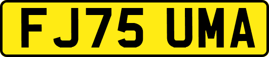 FJ75UMA