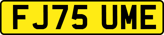 FJ75UME