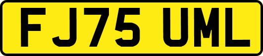 FJ75UML