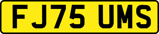 FJ75UMS
