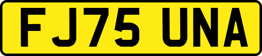 FJ75UNA