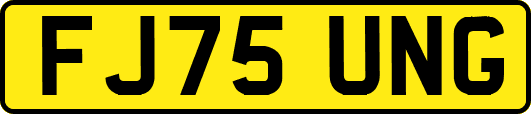 FJ75UNG